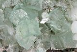 Green Apophyllite, Heulandite & Stilbite Association - India #135830-3